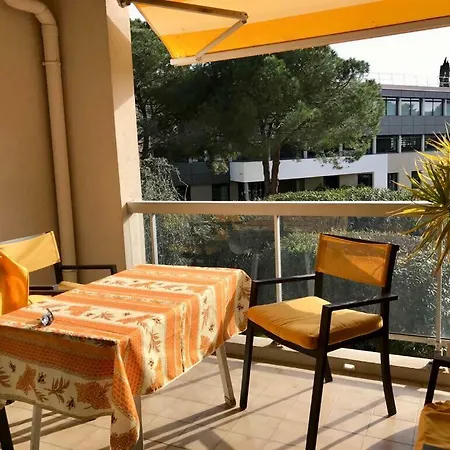 French Riviera Deluxe Near Airport * Cagnes-sur-Mer